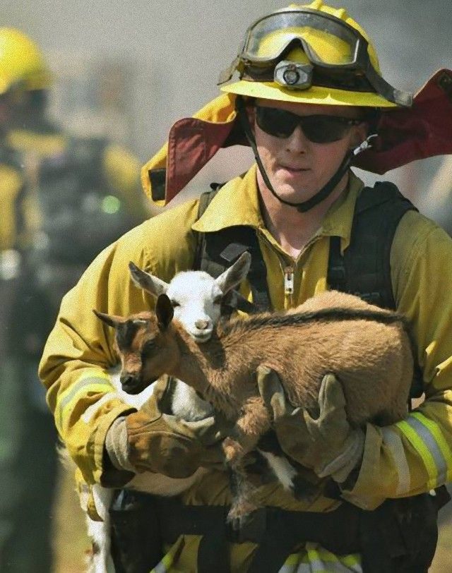 firefighters_know_that_each_and_every_life_matters_640_37_e