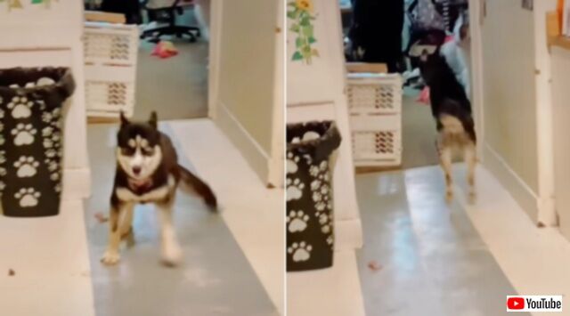 20240315_063550 (2)_batch