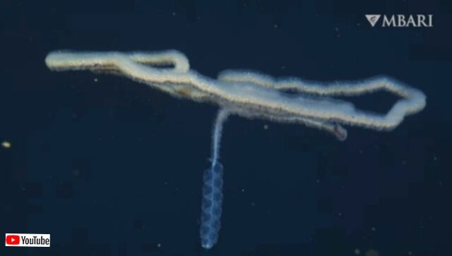 20231125_120129_batch