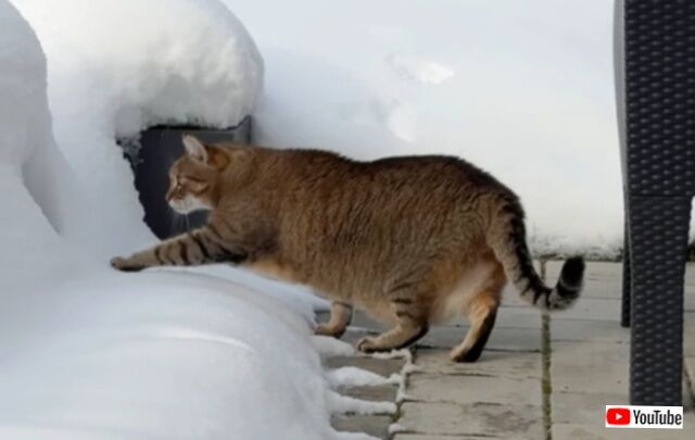 20231216_001256 (2)_batch