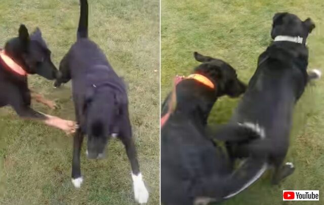 20220405_194419 (4)_batch