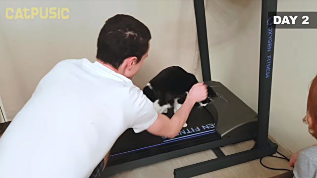 training5