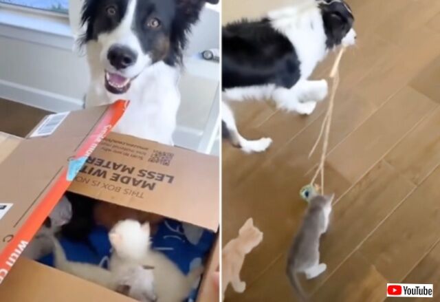 20230509_113930_batch