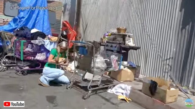 20221018_191235_batch