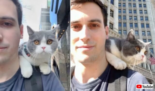 20240310_190016_batch