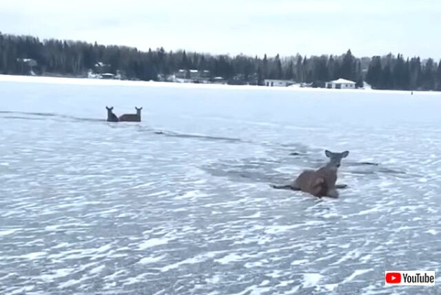 frozenlake1_640