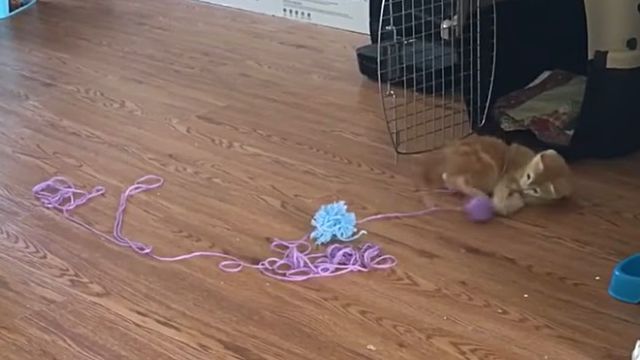 yarn5