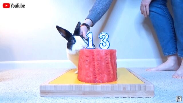 birthday0_640