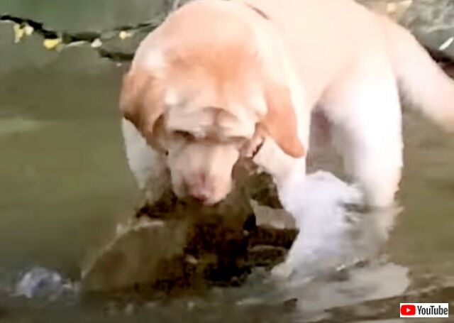 20220919_115037 (2)_batch