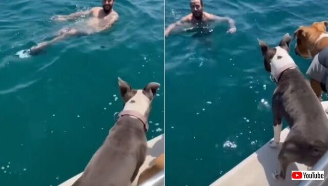 20220716_080407_batch