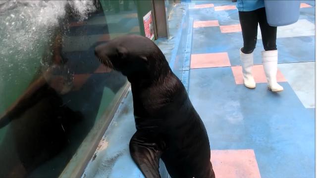 net]