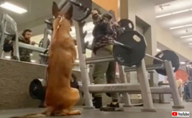 20230411_235651 (2)_batch