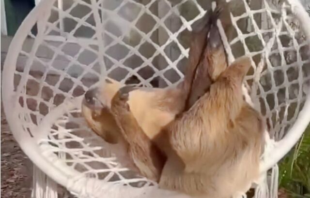 20230223_114536 (2)_batch