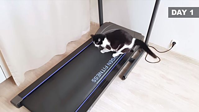 training3