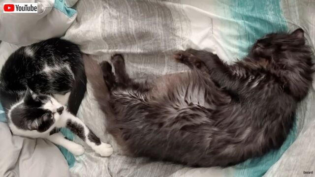 20220911_115838 (2)_batch