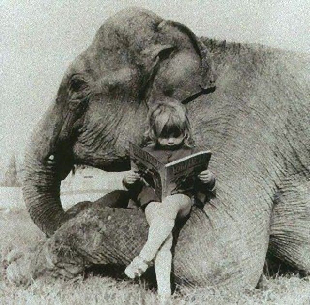 vintagephoto16_e