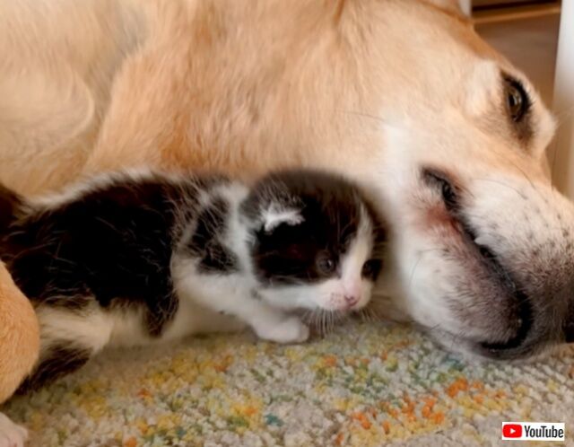 20230503_163354 (4)_batch