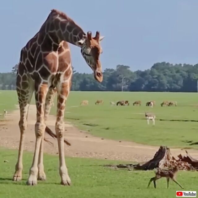 20231224_023235 (5)_batch