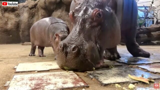 20230824_073453 (5)_batch