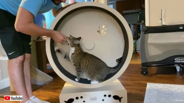 20220819_054023 (4)_batch