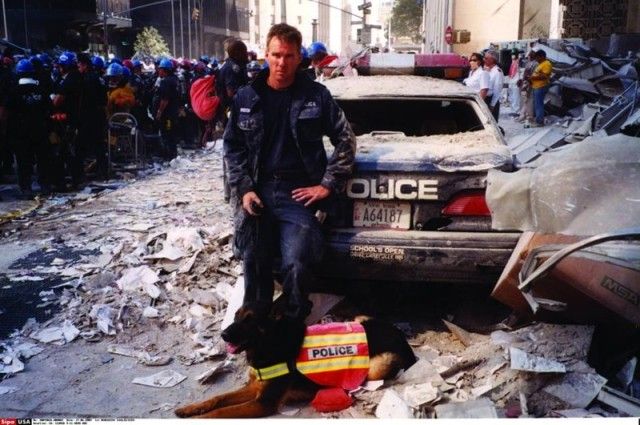 911dogs2_e