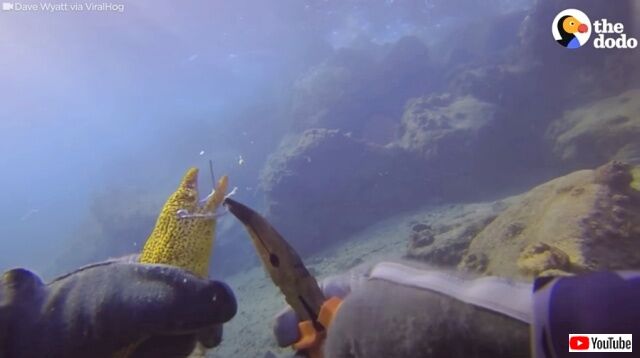 20221009_181508 (3)_batch