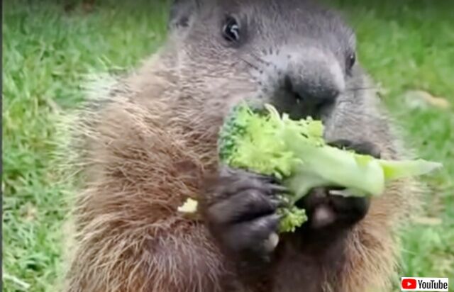 20230901_194703 (5)_batch