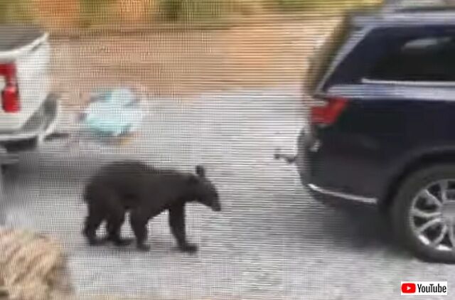 20220710_040431_batch