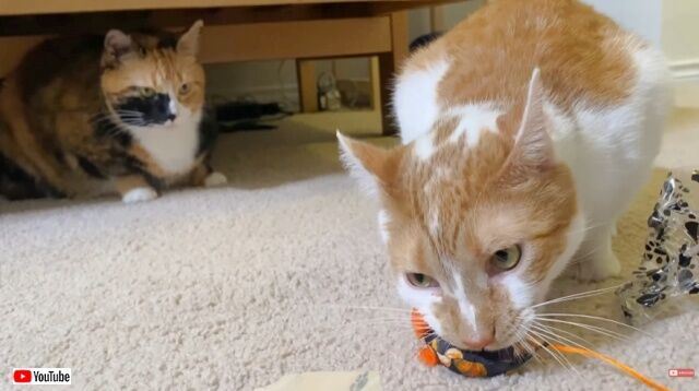 20221109_111927_batch