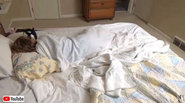 gmorningrabbit3_640