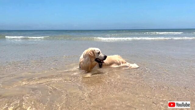 baileyonthebeach4_640