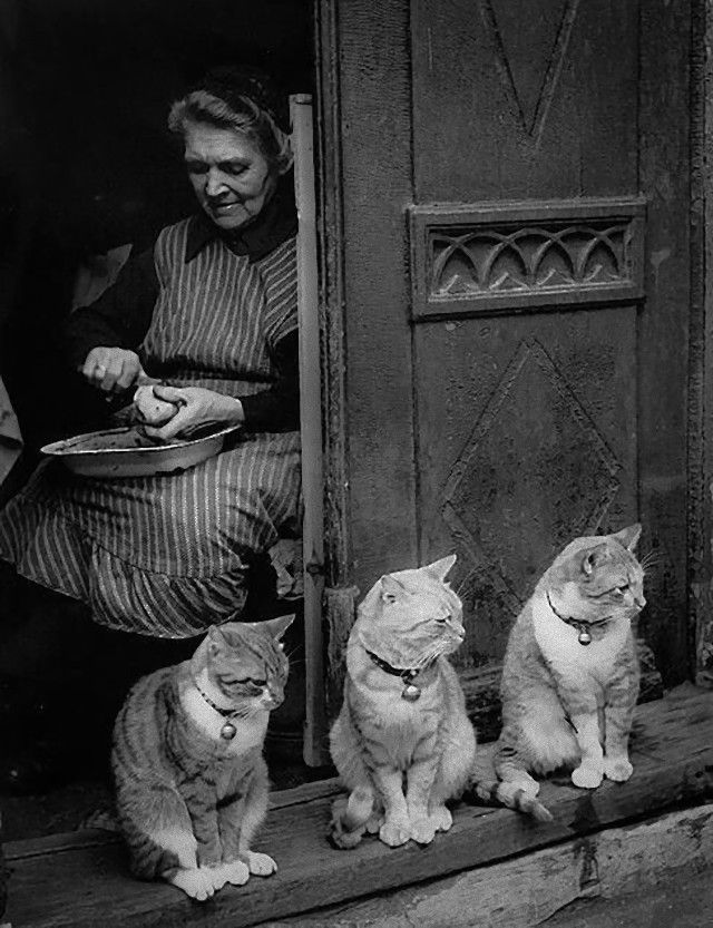 vintagephoto17_e