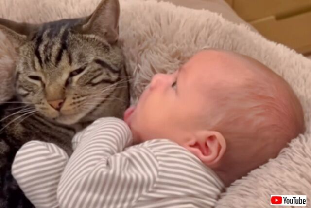 20240305_160450 (6)_batch