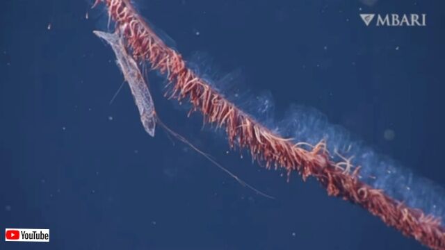 20231125_120129 (6)_batch