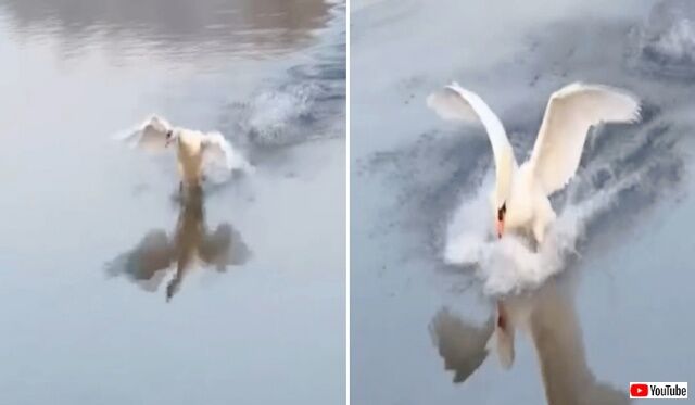 20221127_075539 (3)_batch