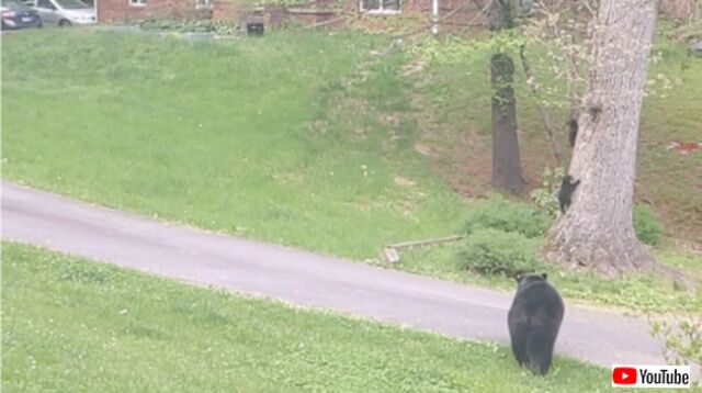 20230429_170106 (2)_batch