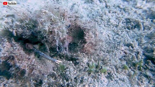 20220723_193024 (7)_batch