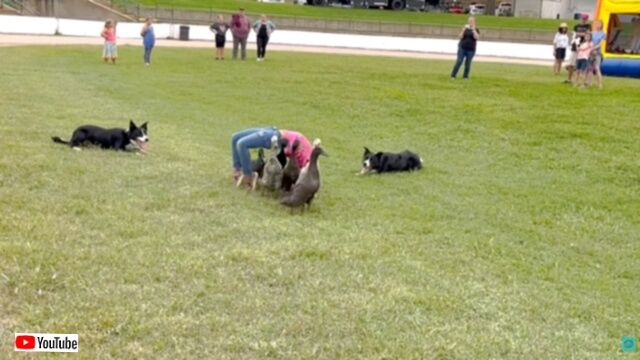 20240128_000252 (10)_batch