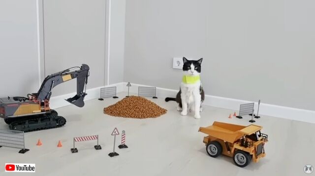 20230401_110530 (5)_batch