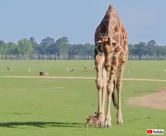 20231224_023235 (4)_batch