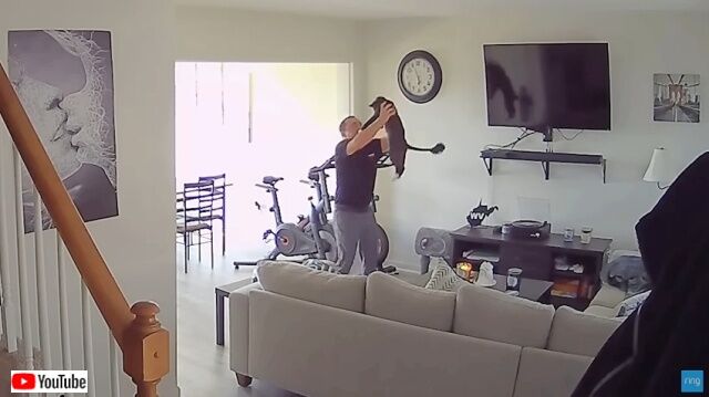 20220908_230326 (4)_batch