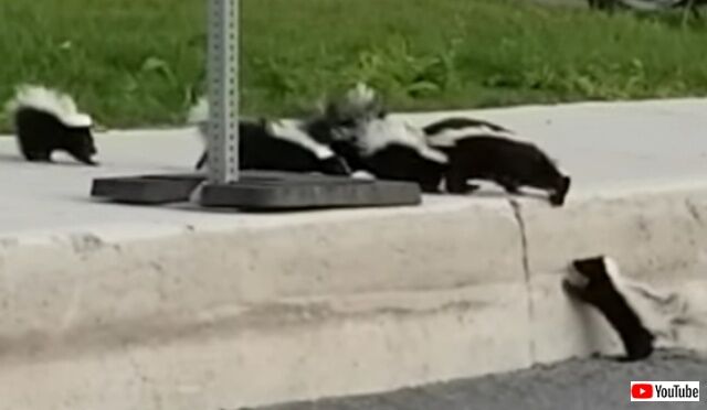 20220509_114912 (3)_batch