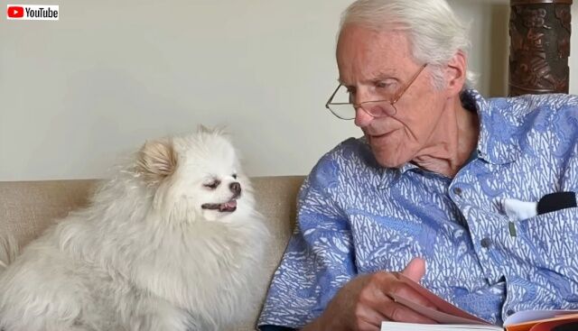 「ずっといっしょにいような」86歳のおじいちゃん、保護犬との暮らしで悲しみやストレスから解放される