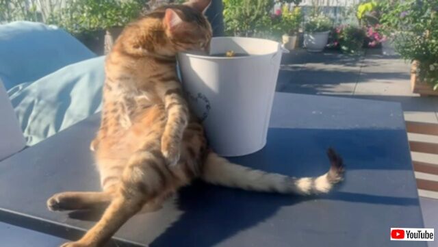 20230918_201535_batch