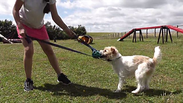 ollytraining1