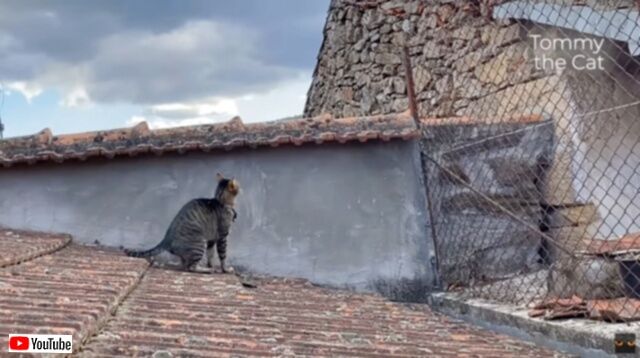 20230606_073801 (8)_batch