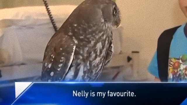 nelly-1_e