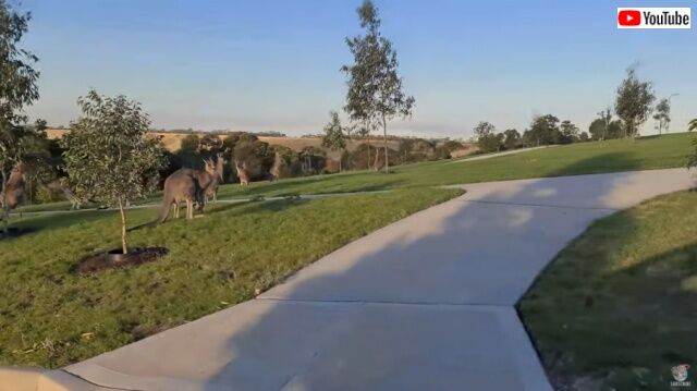 20220402_002950 (4)_batch