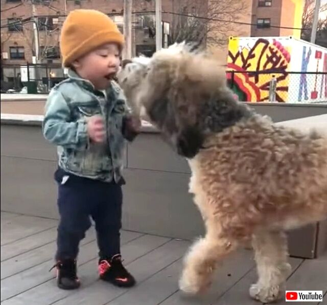 toddler5_640