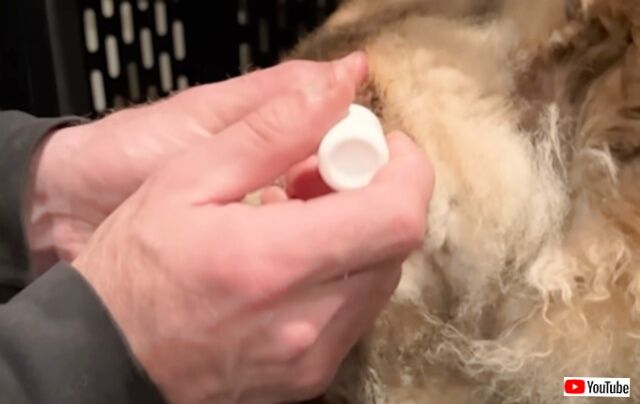 20230519_174017 (5)_batch